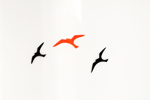 Nieberg_Birds