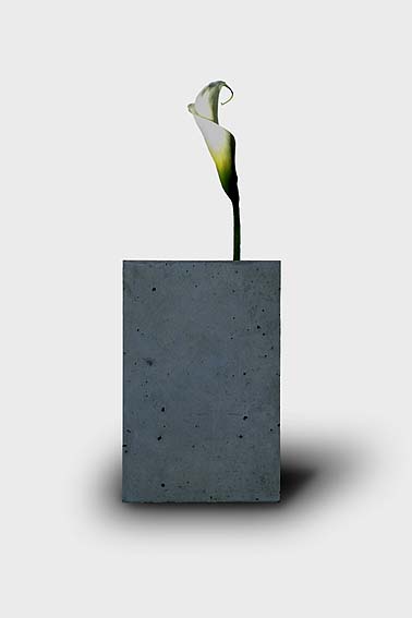 Vase_